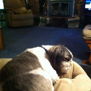 Meet your Posher, Bill